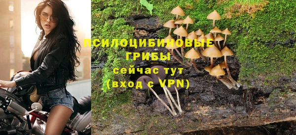 2c-b Тихвин