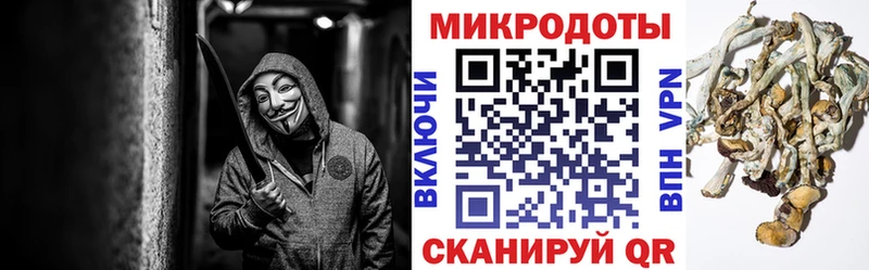 Галлюциногенные грибы мухоморы  мега ССЫЛКА  Кольчугино 